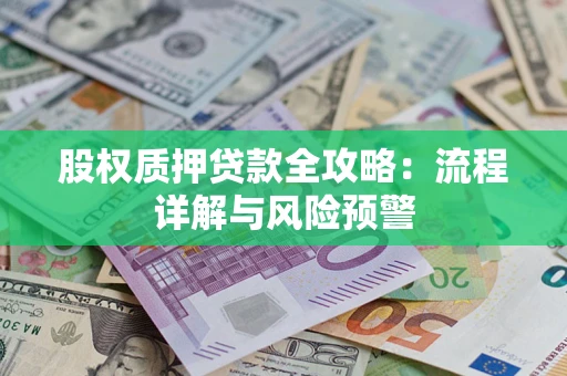 北京股权质押贷款全攻略：流程详解与风险预警