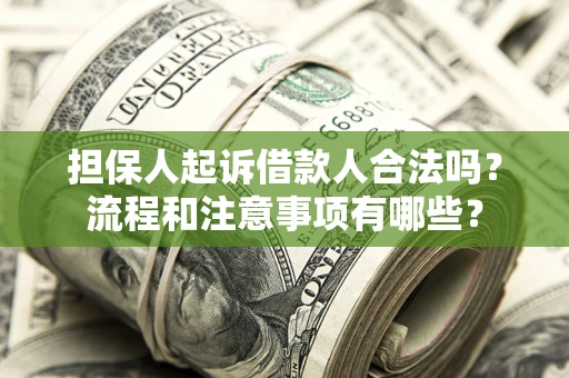 北京担保人起诉借款人合法吗？流程和注意事项有哪些？
