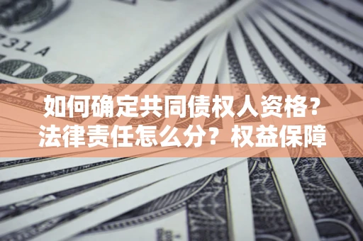 北京如何确定共同债权人资格？法律责任怎么分？权益保障技巧揭秘！