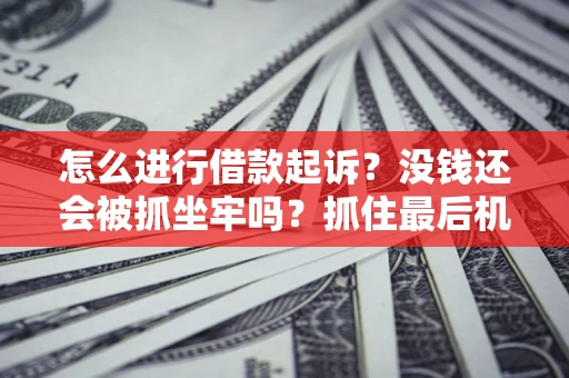 北京怎么进行借款起诉？没钱还会被抓坐牢吗？抓住最后机会！