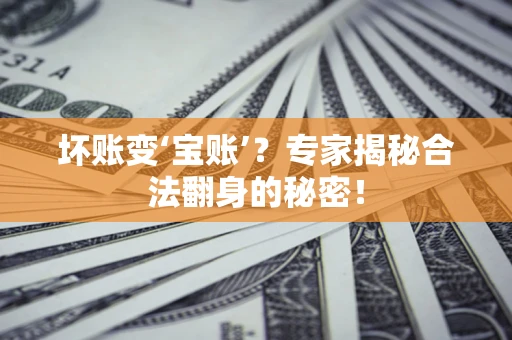 北京坏账变‘宝账’？专家揭秘合法翻身的秘密！