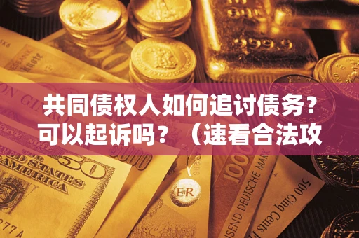 北京共同债权人如何追讨债务？可以起诉吗？（速看合法攻略）